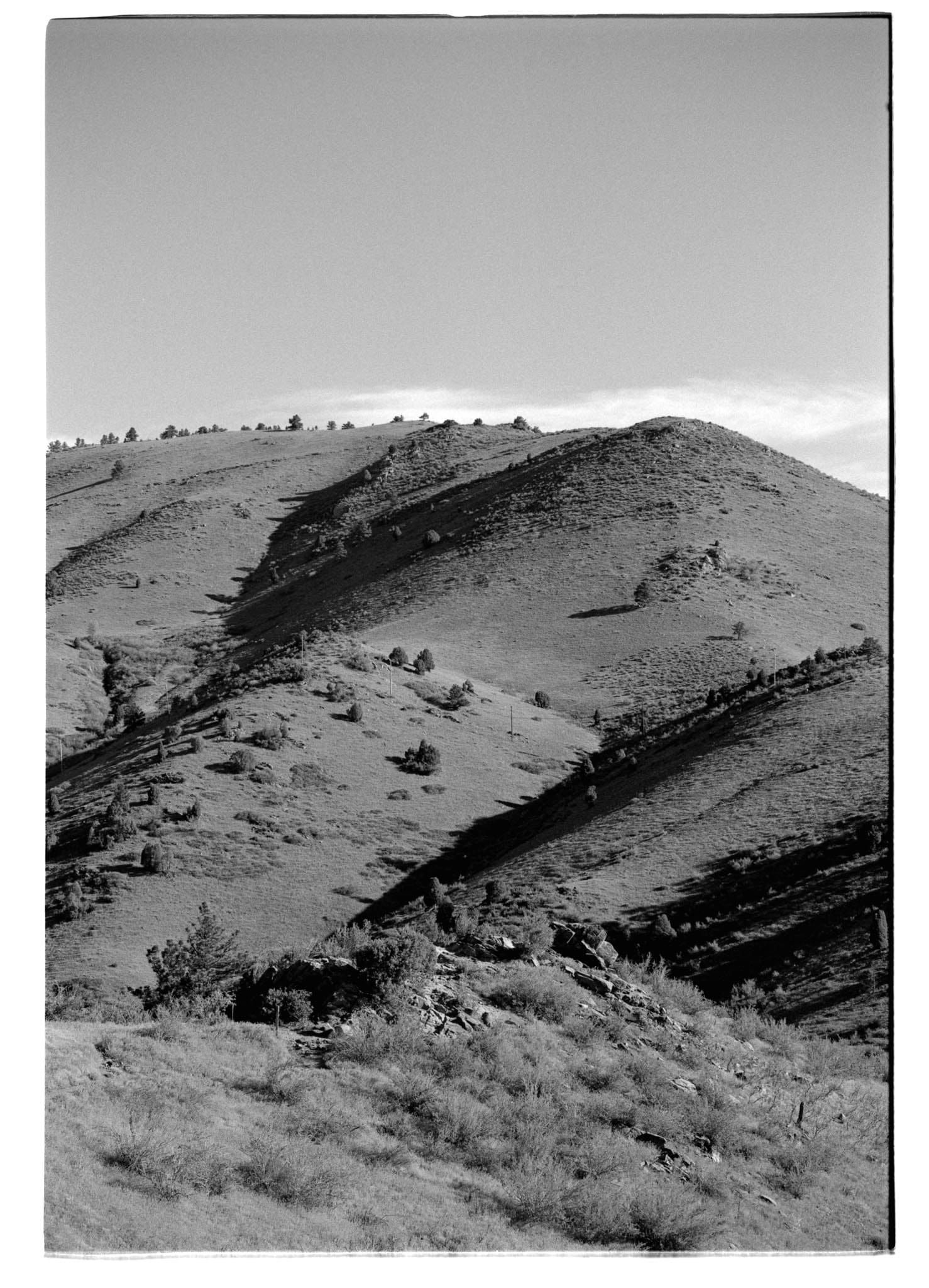 Image shot with no red filter